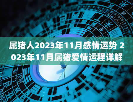 属猪人2023年11月感情运势 2023年11月属猪爱情运程详解