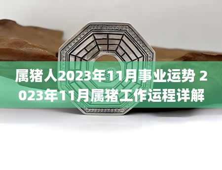 属猪人2023年11月事业运势 2023年11月属猪工作运程详解