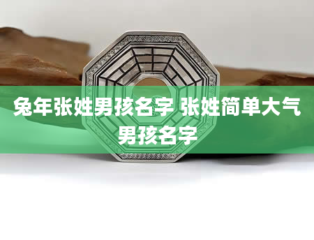 兔年张姓男孩名字 张姓简单大气男孩名字