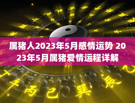 属猪人2023年5月感情运势 2023年5月属猪爱情运程详解