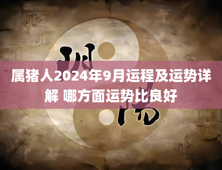属猪人2024年9月运程及运势详解 哪方面运势比良好