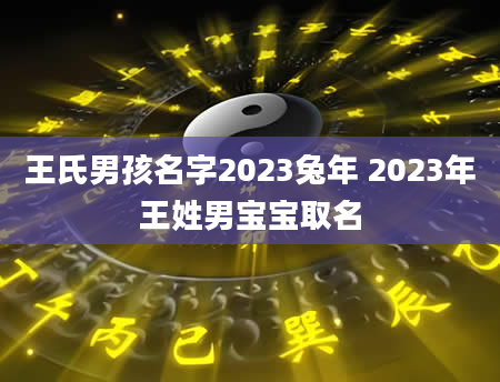 王氏男孩名字2023兔年 2023年王姓男宝宝取名