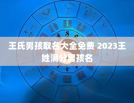 王氏男孩取名大全免费 2023王姓满分男孩名