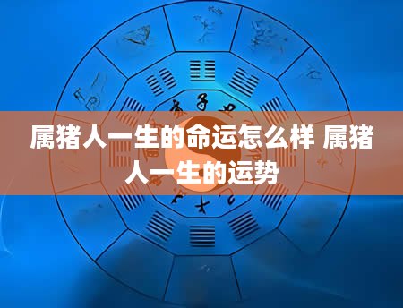 属猪人一生的命运怎么样 属猪人一生的运势