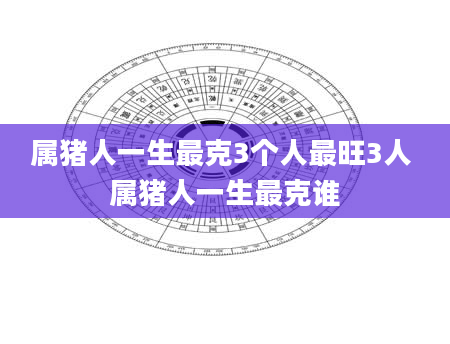 属猪人一生最克3个人最旺3人 属猪人一生最克谁