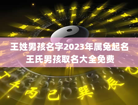 王姓男孩名字2023年属兔起名 王氏男孩取名大全免费