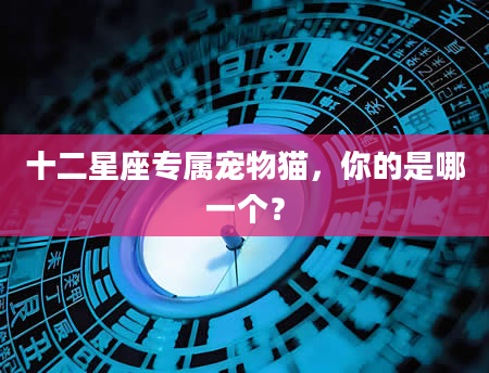 十二星座专属宠物猫，你的是哪一个？