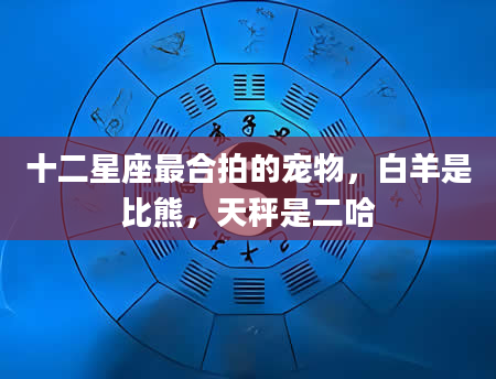 十二星座最合拍的宠物，白羊是比熊，天秤是二哈