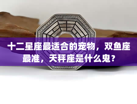 十二星座最适合的宠物，双鱼座最准，天秤座是什么鬼？