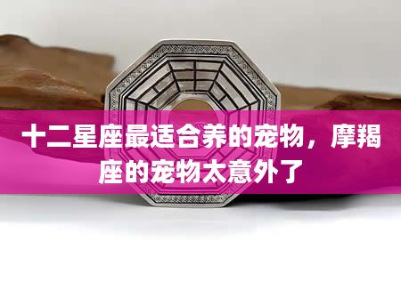 十二星座最适合养的宠物，摩羯座的宠物太意外了