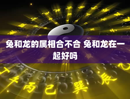 兔和龙的属相合不合 兔和龙在一起好吗