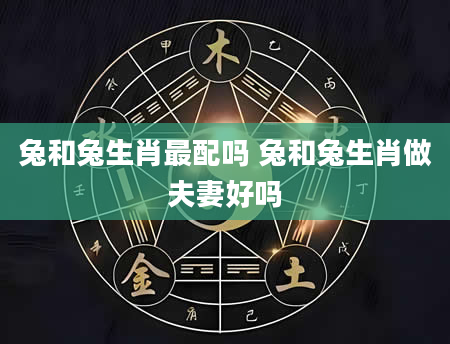 兔和兔生肖最配吗 兔和兔生肖做夫妻好吗