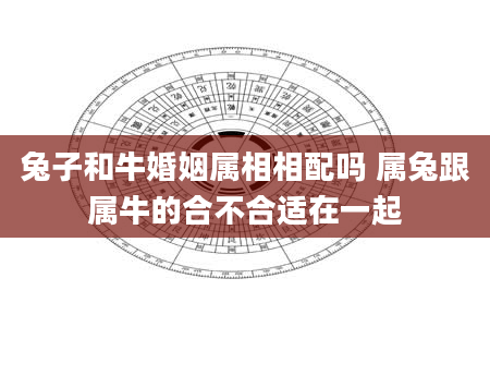 兔子和牛婚姻属相相配吗 属兔跟属牛的合不合适在一起