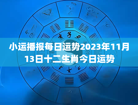 小运播报每日运势2023年11月13日十二生肖今日运势