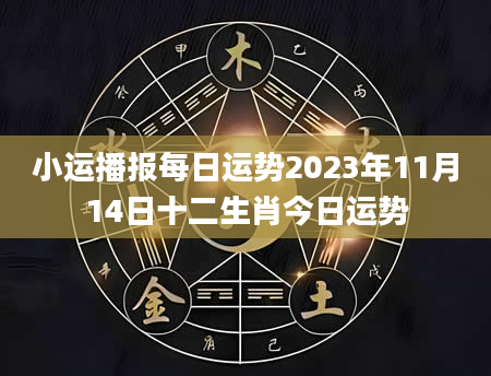 小运播报每日运势2023年11月14日十二生肖今日运势