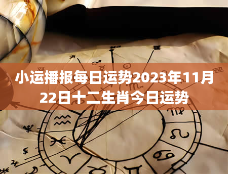 小运播报每日运势2023年11月22日十二生肖今日运势