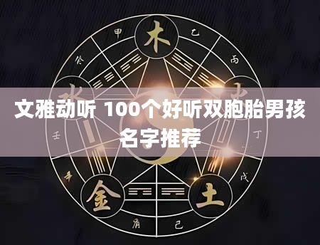 文雅动听 100个好听双胞胎男孩名字推荐