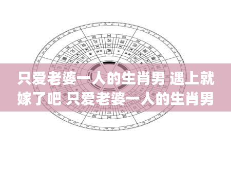 只爱老婆一人的生肖男 遇上就嫁了吧 只爱老婆一人的生肖男