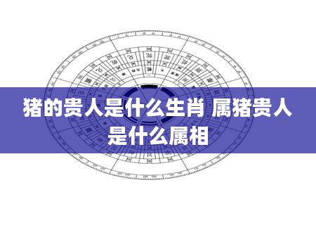猪的贵人是什么生肖 属猪贵人是什么属相