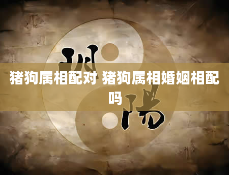 猪狗属相配对 猪狗属相婚姻相配吗