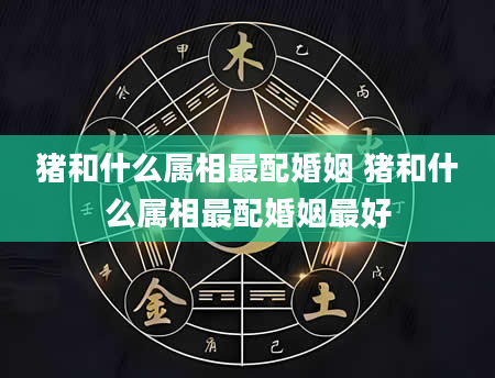 猪和什么属相最配婚姻 猪和什么属相最配婚姻最好