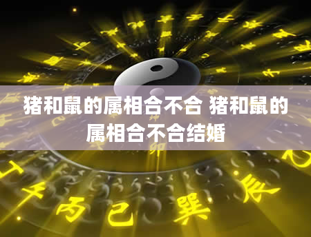 猪和鼠的属相合不合 猪和鼠的属相合不合结婚