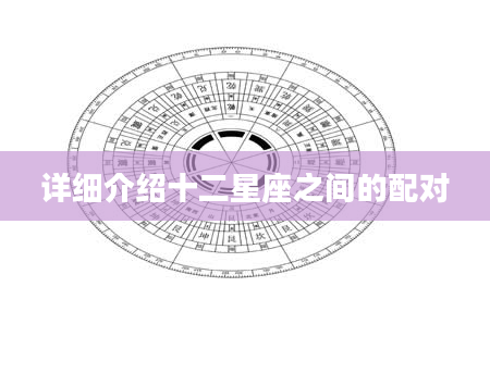 详细介绍十二星座之间的配对