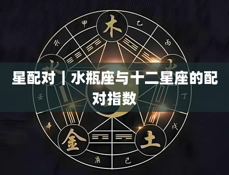 星配对｜水瓶座与十二星座的配对指数