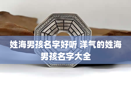 姓海男孩名字好听 洋气的姓海男孩名字大全