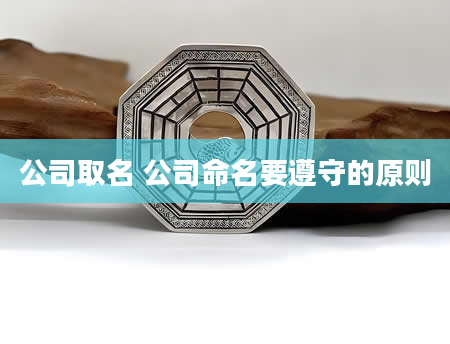 公司取名 公司命名要遵守的原则