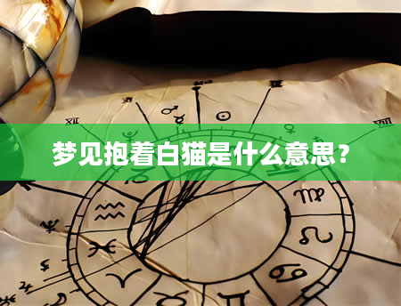 梦见抱着白猫是什么意思？