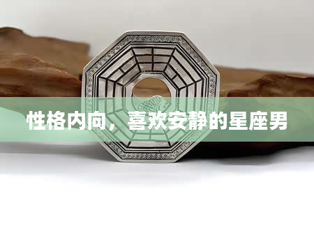 性格内向，喜欢安静的星座男