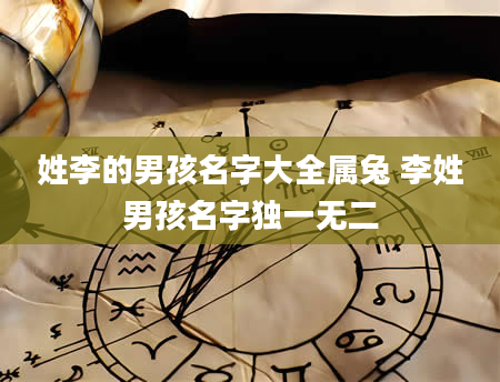 姓李的男孩名字大全属兔 李姓男孩名字独一无二