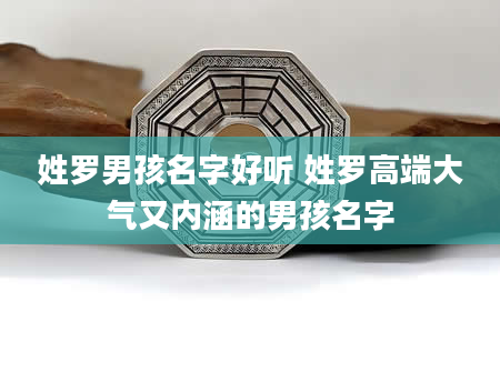 姓罗男孩名字好听 姓罗高端大气又内涵的男孩名字