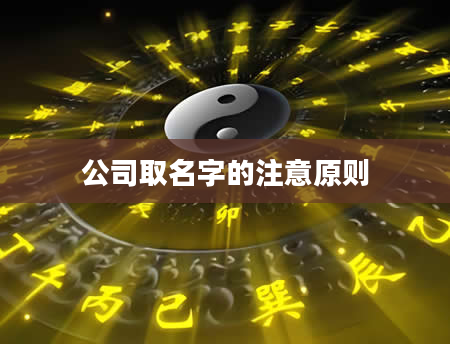 公司取名字的注意原则
