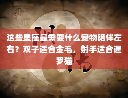 这些星座最需要什么宠物陪伴左右？双子适合金毛，射手适合暹罗猫