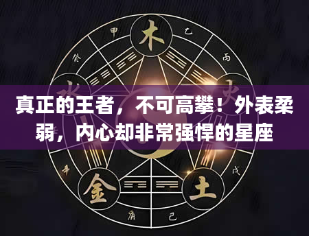 真正的王者，不可高攀！外表柔弱，内心却非常强悍的星座