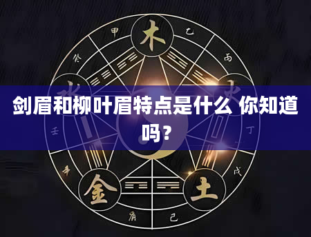剑眉和柳叶眉特点是什么 你知道吗？