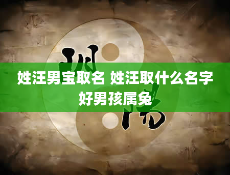 姓汪男宝取名 姓汪取什么名字好男孩属兔