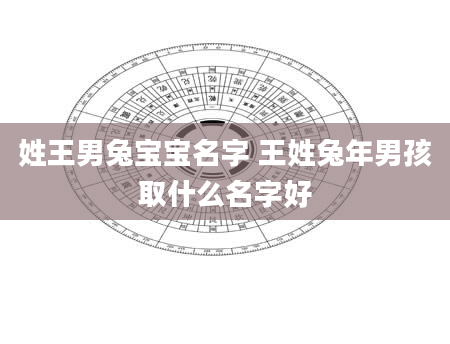 姓王男兔宝宝名字 王姓兔年男孩取什么名字好