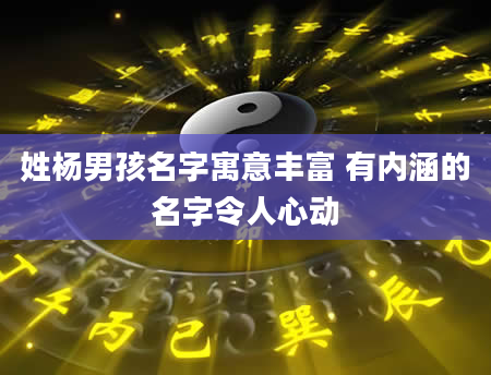 姓杨男孩名字寓意丰富 有内涵的名字令人心动