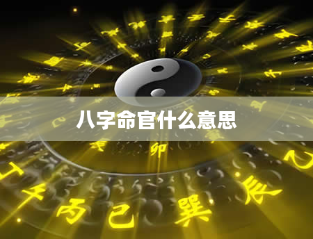 八字命官什么意思