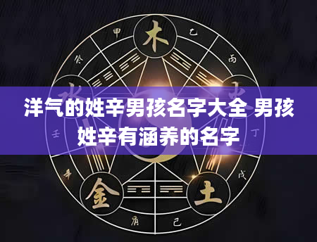 洋气的姓辛男孩名字大全 男孩姓辛有涵养的名字