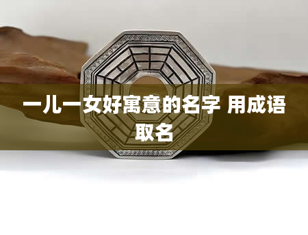 一儿一女好寓意的名字 用成语取名