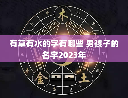 有草有水的字有哪些 男孩子的名字2023年