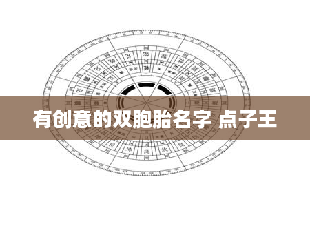 有创意的双胞胎名字 点子王