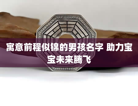 寓意前程似锦的男孩名字 助力宝宝未来腾飞