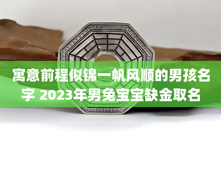 寓意前程似锦一帆风顺的男孩名字 2023年男兔宝宝缺金取名
