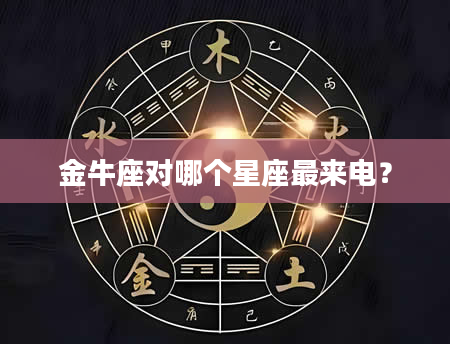 金牛座对哪个星座最来电？