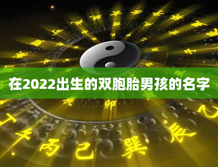 在2022出生的双胞胎男孩的名字